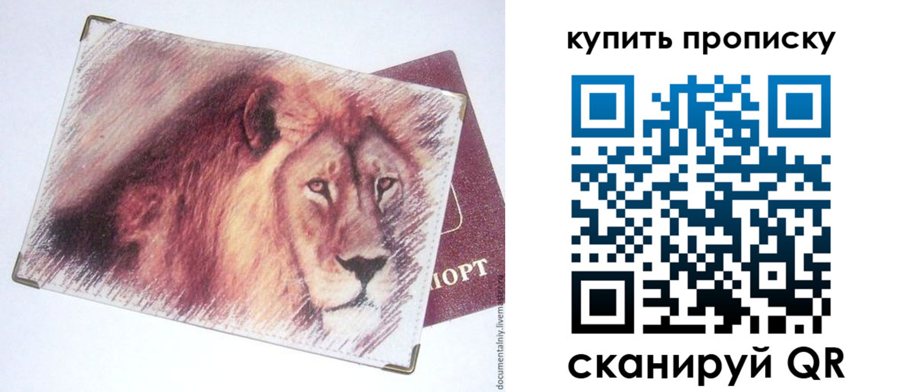 прописка паспорт в Константиновске